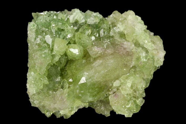 Vesuvianite Crystal Cluster - Jeffrey Mine, Canada #134419